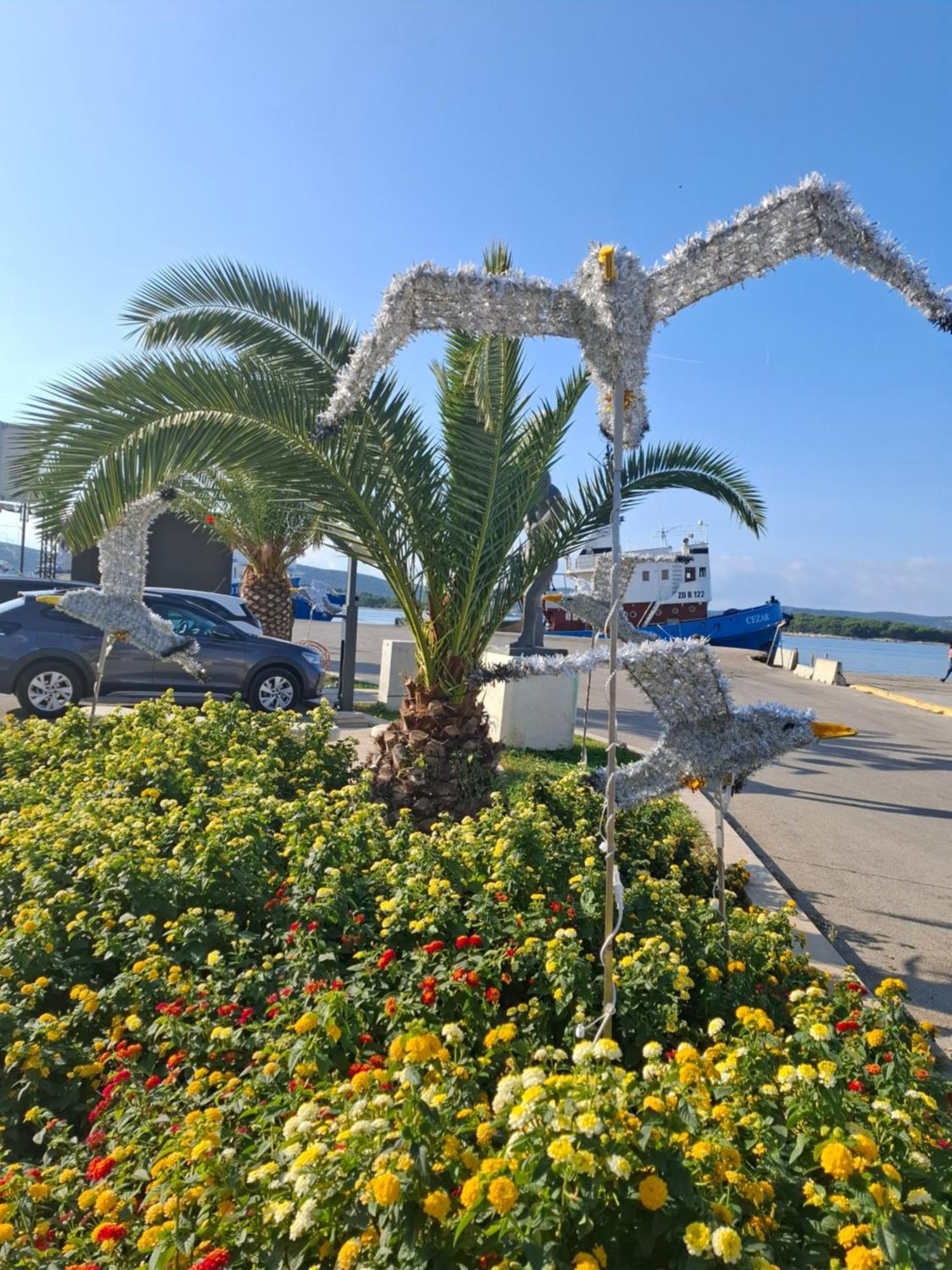 Apartmani Orhideja Gornji Karin Exteriér fotografie